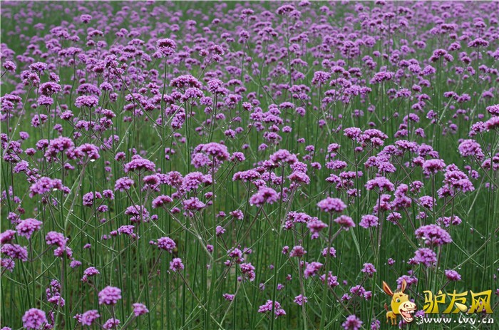 ޹�²� (5)_����.jpg